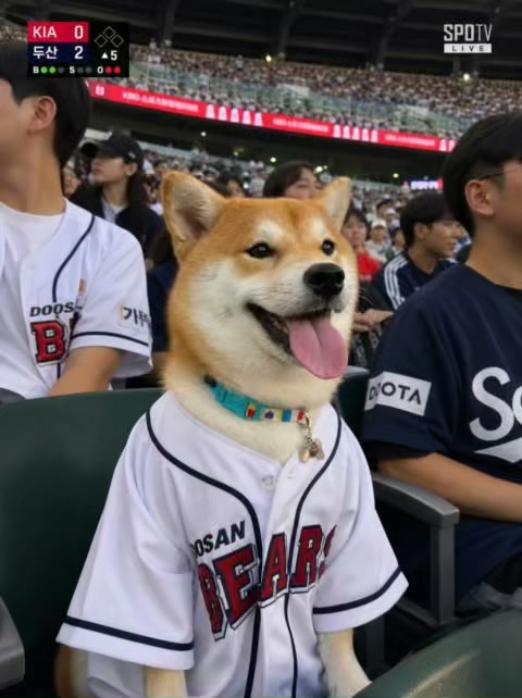 Korean Fancam Pet Baseball