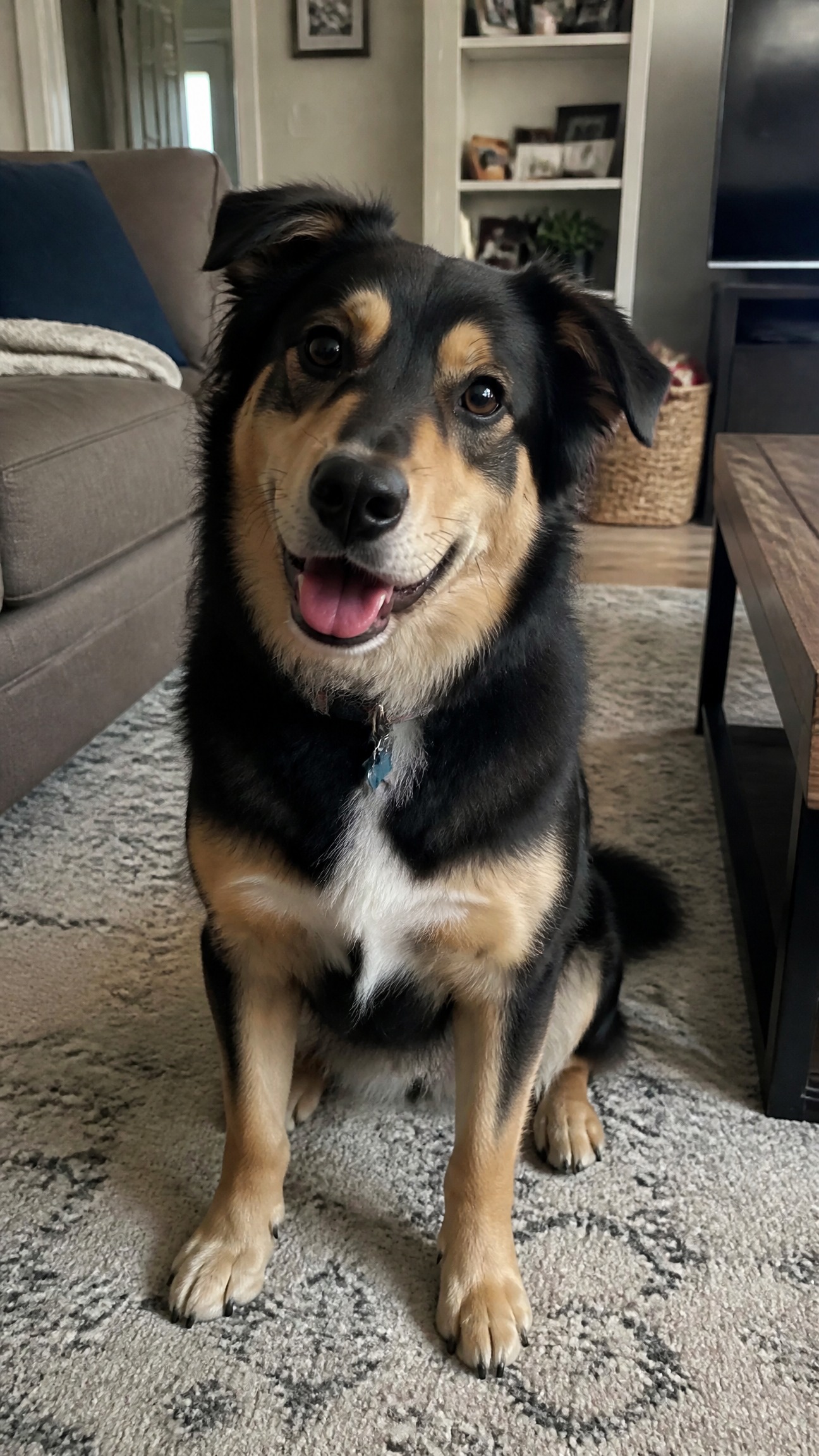 original