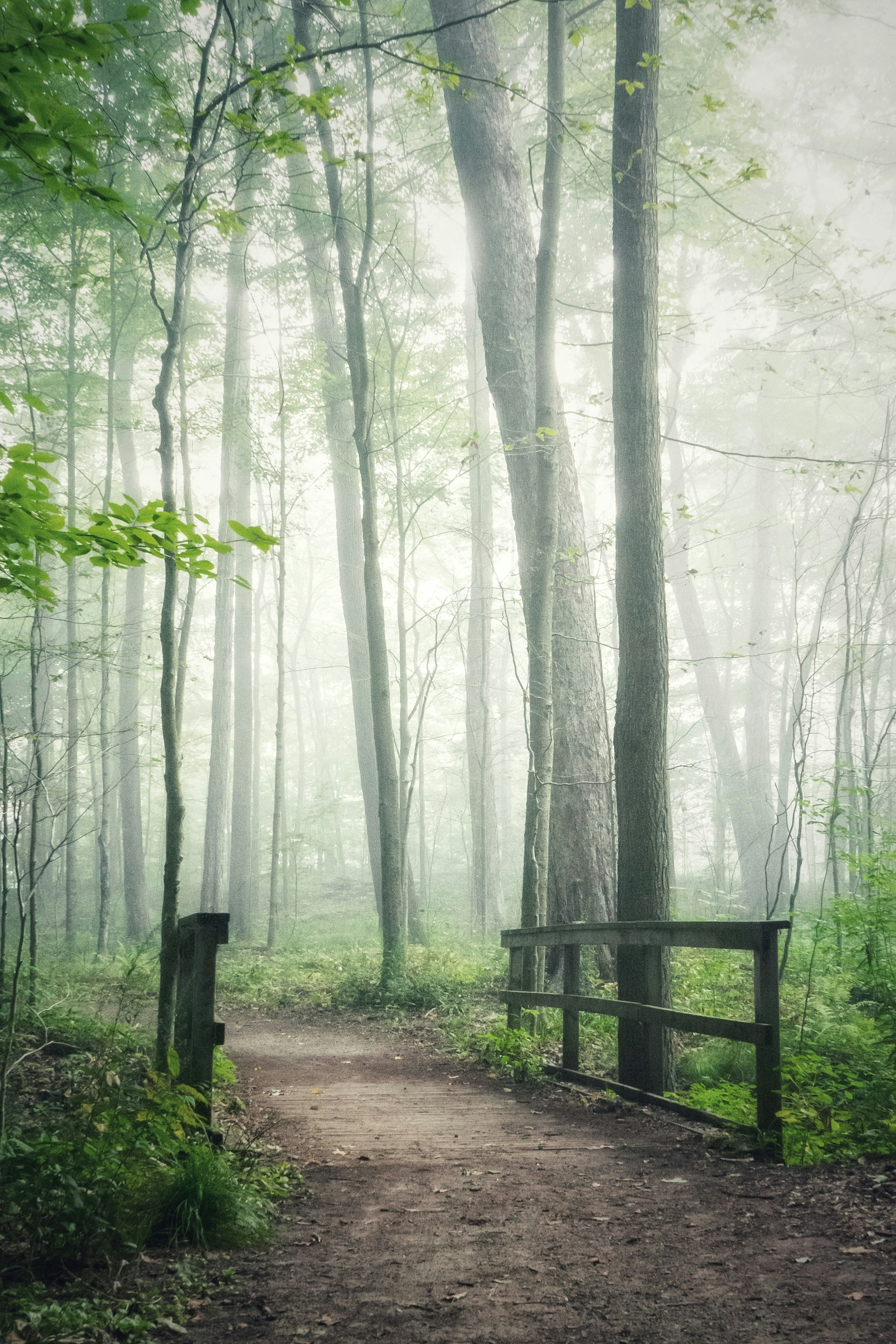 original